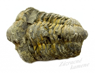 Trilobit XL