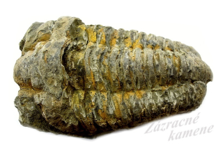 Trilobit XL